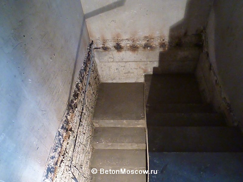 Лестница из бетона в посёлке Фирсановка лайф (2). Фото 4